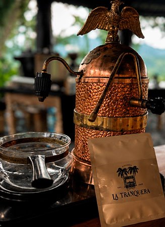 Cata de café con métodos de preparación y café de la región